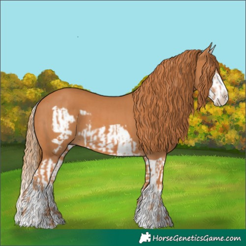 Horse Color:Chestnut Splash Frame and Chestnut Splash Frame