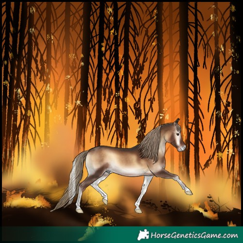 Horse Color:Liver Red Onyx Rabicano 
