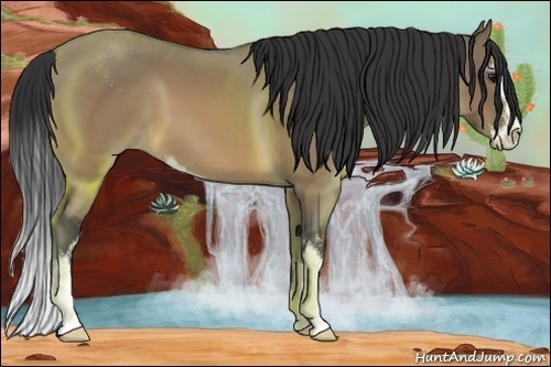 Horse Color:Brown Dun Sabino 