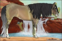 Horse Color:Brown Dun Sabino 