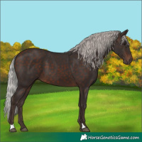 Horse Color:Silver Brown 