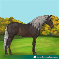 Horse Color:Silver Brown