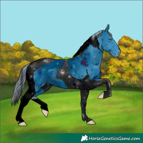 Horse Color:ERROR: UNKNOWN ANOMALY