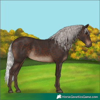 Horse Color:Silver Brown