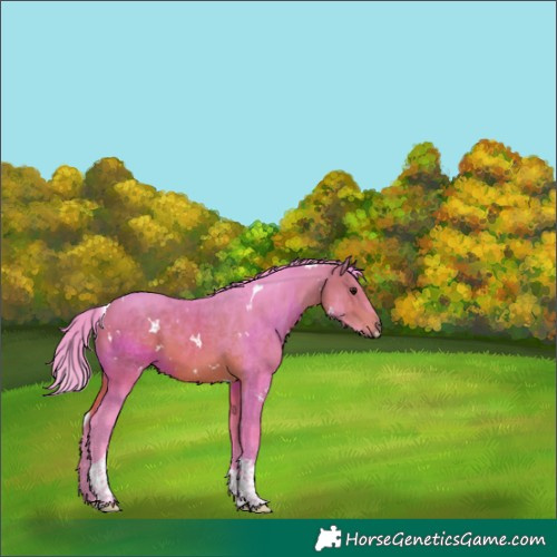 Horse Color:Watercolor White Spotted Bay Tobiano 