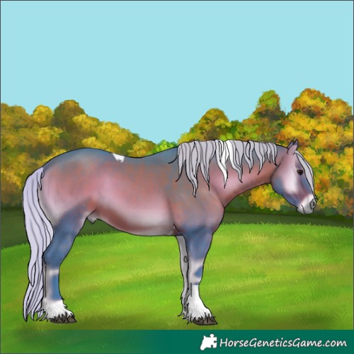 Horse Color:Watercolor Silver Bay Onyx Tobiano 