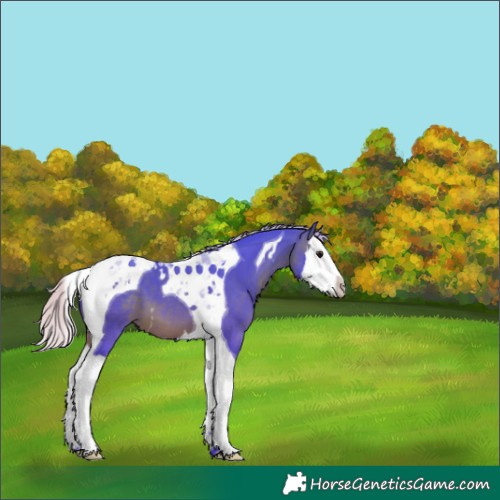 Horse Color:Watercolor Silver Brown Splash Tobiano