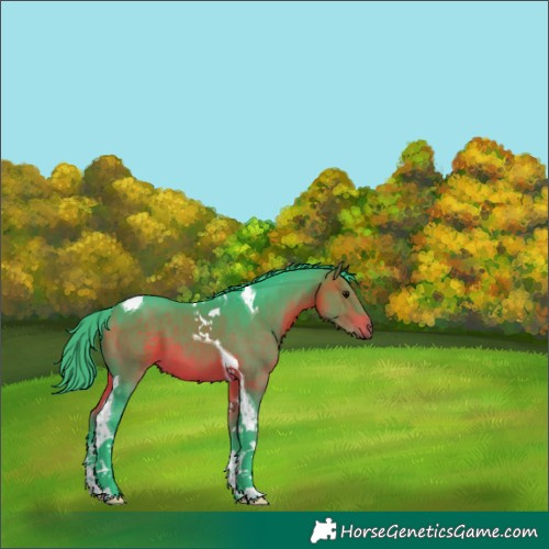 Horse Color:Watercolor Bay Tobiano 
