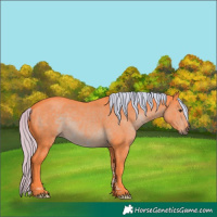 Horse Color:Watercolor Liver Chestnut Tobiano 