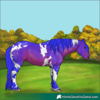 Horse Color:Watercolor Brown Tobiano 