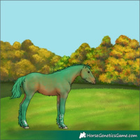 Horse Color:Watercolor Brown Tobiano 
