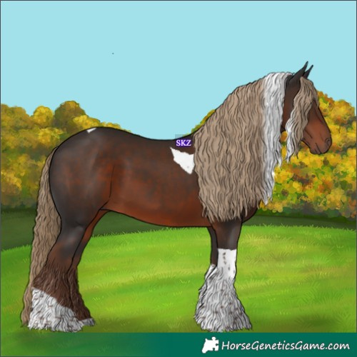 Horse Color:Liver Chestnut Tobiano