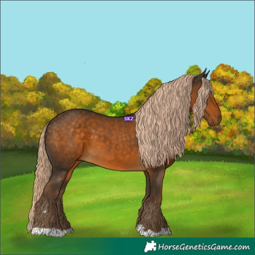 Horse Color:Chocolate Palomino