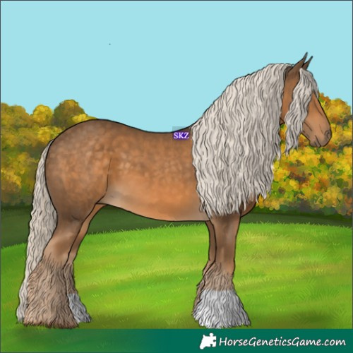 Horse Color:Chocolate Palomino 