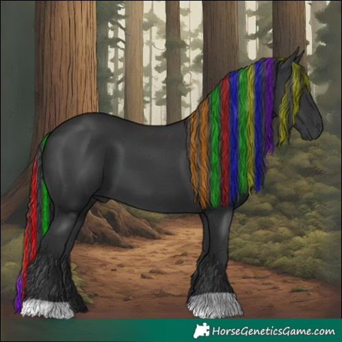 Horse Color:Painted Black 