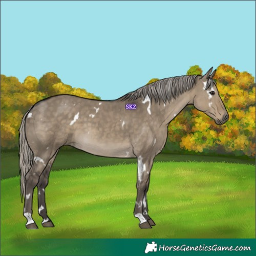 Horse Color:White Spotted Silver Smoky Grullo 