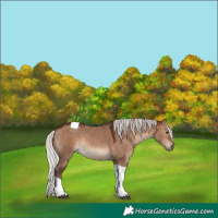 Horse Color:Silver Bay Dun Tobiano Rabicano 