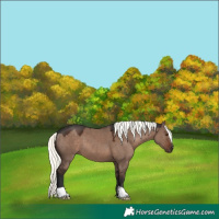 Horse Color:Liver Red Dun Mushroom 