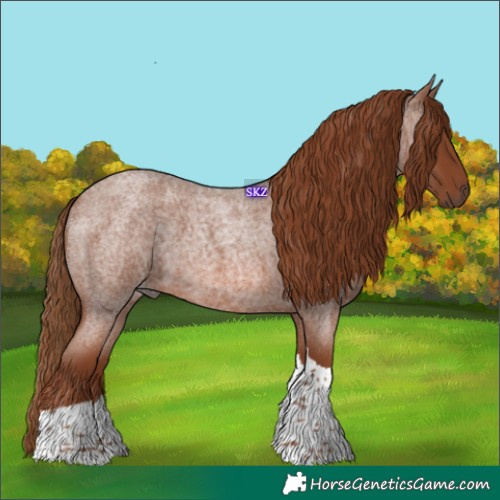 Horse Color:Red Roan Tobiano 