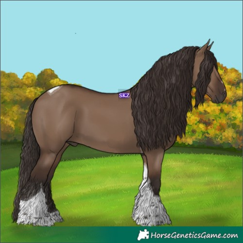 Horse Color:Liver Red Dun Tobiano 