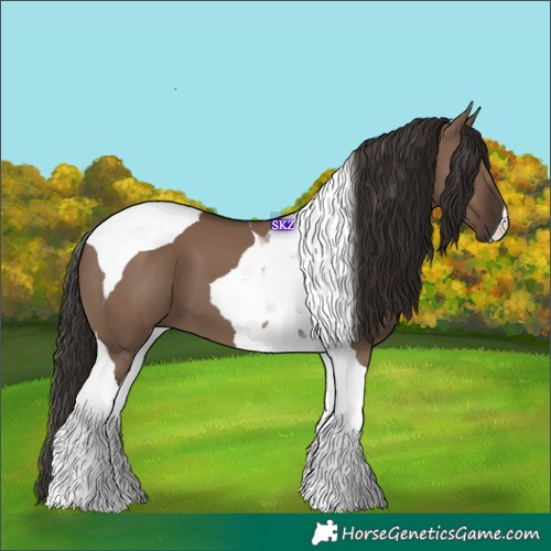Horse Color:Liver Red Dun Tobiano 