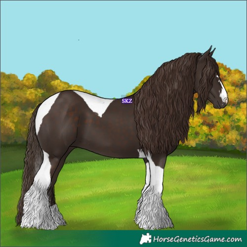 Horse Color:Liver Chestnut Tobiano 