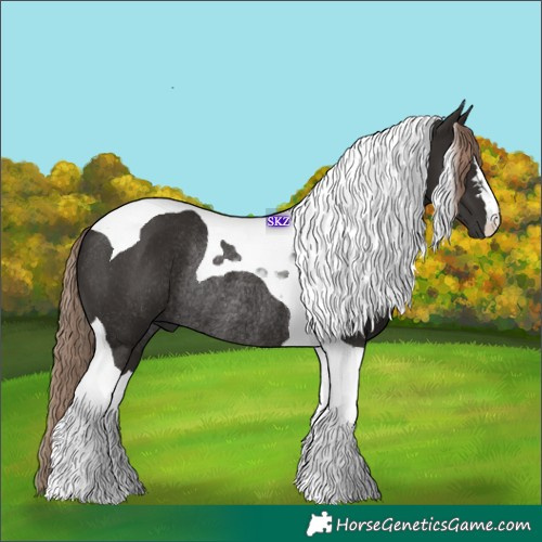 Horse Color:Liver Chestnut Tobiano Rabicano 