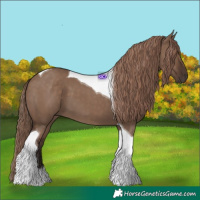 Horse Color:Liver Red Dun Tobiano