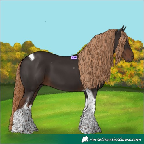 Horse Color:Liver Chestnut Tobiano 
