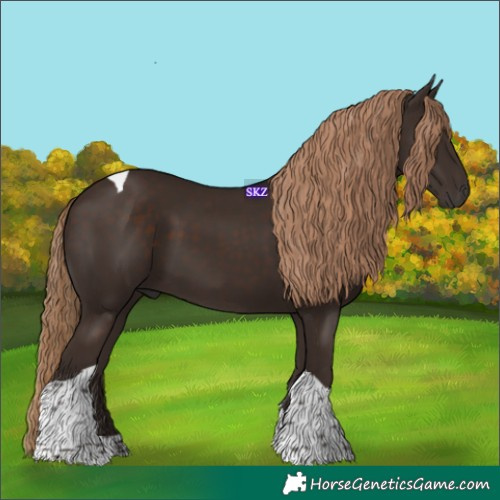 Horse Color:Liver Chestnut Tobiano 