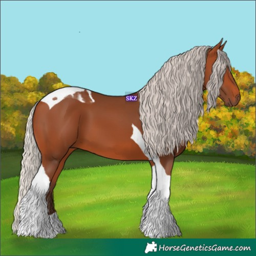 Horse Color:Silver Bay Tobiano