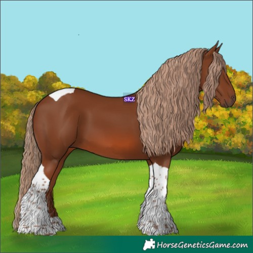 Horse Color:Chestnut Tobiano 