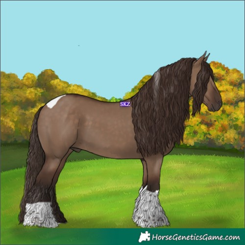 Horse Color:Liver Red Dun Tobiano 