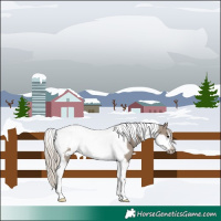 Horse Color:Silver Grullo Tobiano Frame