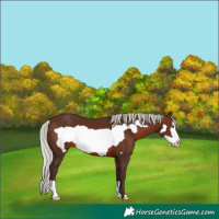 Horse Color:Silver Brown Frame 