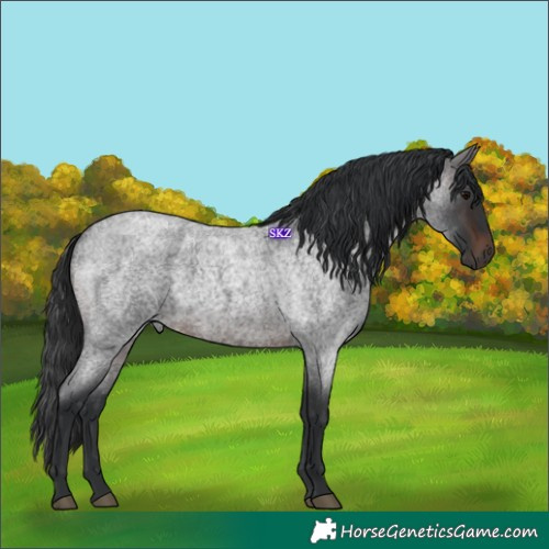 Horse Color:White Spotted Brown Roan 