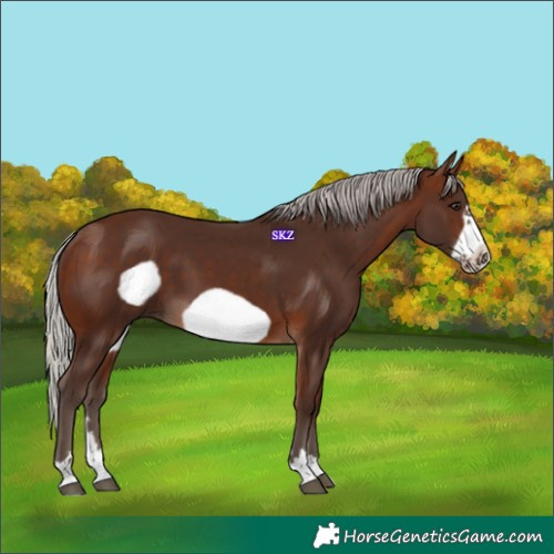 Horse Color:Silver Brown Frame