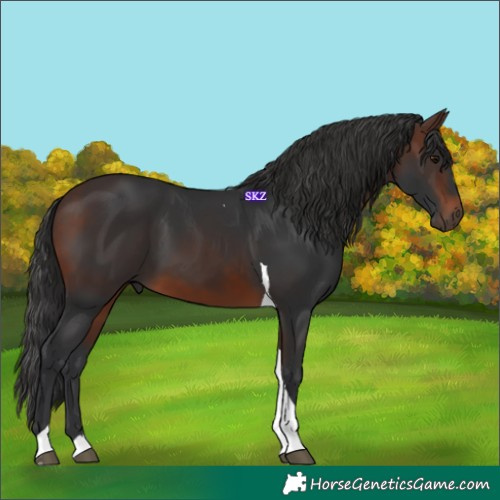 Horse Color:Brown Tobiano 
