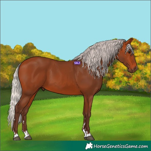 Horse Color:Silver Bay 