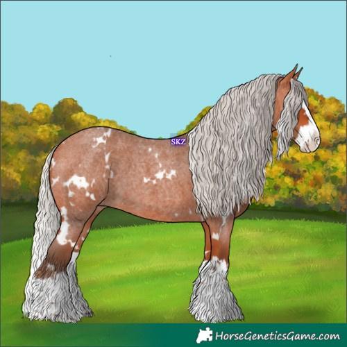 Horse Color:White Spotted Silver Bay Roan Splash