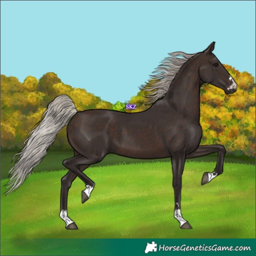 Horse Color:Silver Brown 