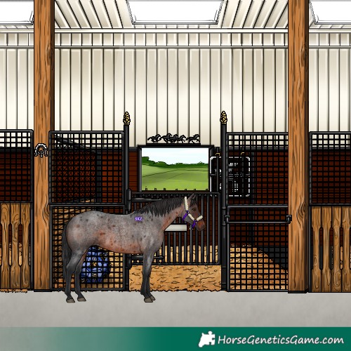 Horse Color:Brown Roan 