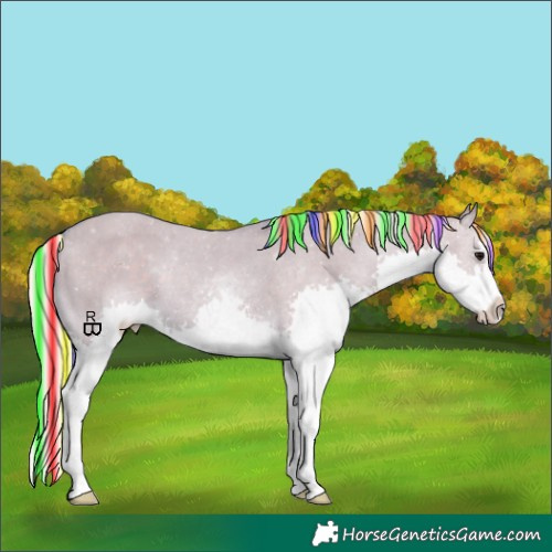 Horse Color:Painted Watercolor Silver Smoky Grullo Splash Varnish