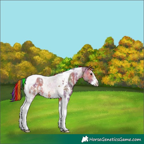 Horse Color:Painted Nacre Bay Sabino Tobiano 