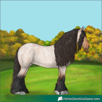 Horse Color:Bay Roan Dun 
