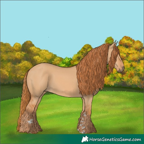 Horse Color:Red Dun 