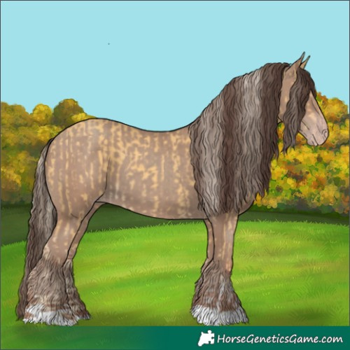 Horse Color:Gold Cream Champagne Tobiano  and Classic Champagne 