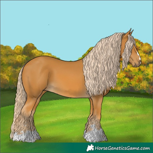Horse Color:Palomino 