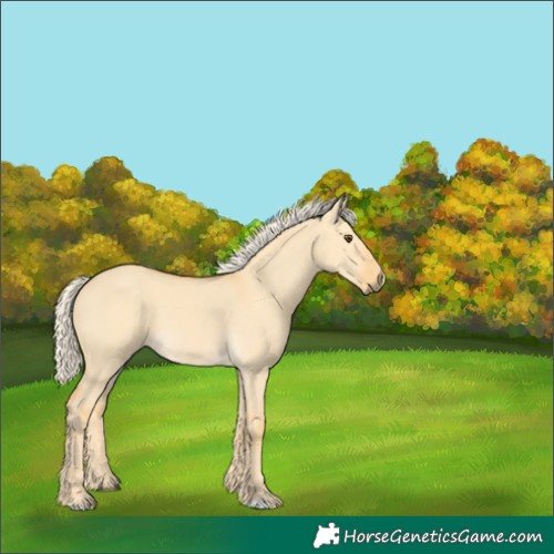 Horse Color:Palomino Dun