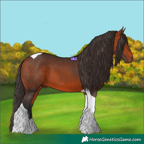 Horse Color:Bay Tobiano 